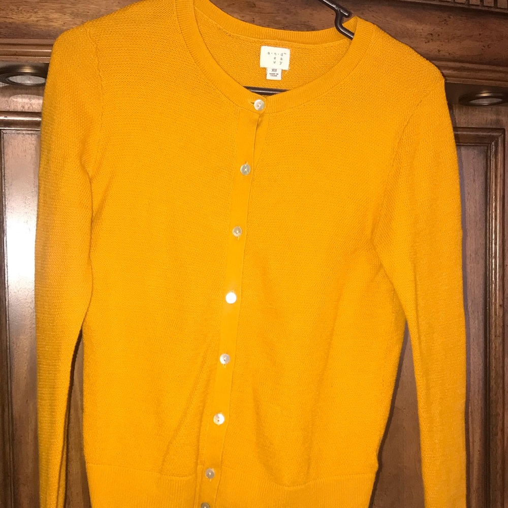 Cardigan